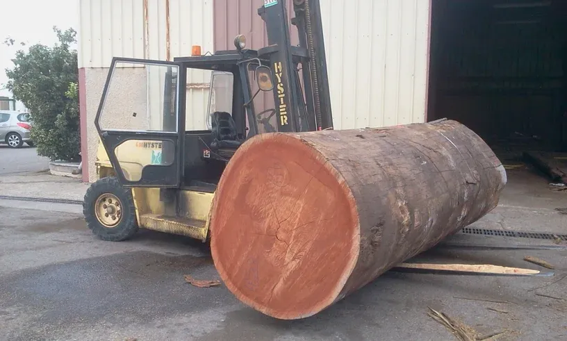 Grume d'itauba brute de coupe, matière première des terrasses Blackwood Deck