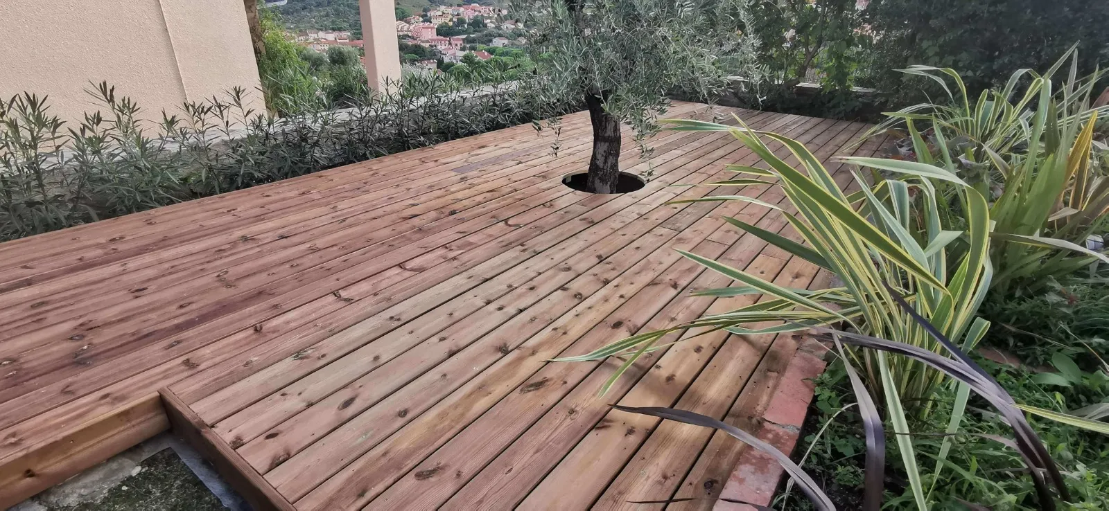 Terrasse en pin du Nord thermotraité avec olivier intégré, vue village